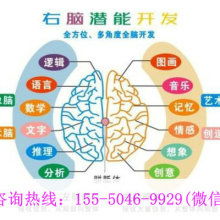 廈門學之源科技開發(fā)公司 專注早教教材與幼教產(chǎn)品，引領(lǐng)信息技術(shù)咨詢服務(wù)